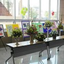 요가(주간반) 이미지