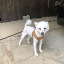 삐삐옷수선 - 용산구 이촌로 245 | 삐삐옷수선