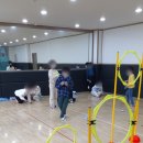 동인태권도 이미지