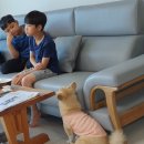 죽산이불집 | 줄띠클럽 줄눈쟁이들 벙개 먹방후기