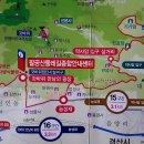 팔공산 둘레길 16구간 이미지
