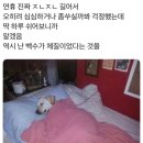 호피농장 | 어떤 사랑도 기록하지 말기를