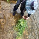 선학초등학교 이미지