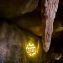 황금박쥐생태관 옆 이미지