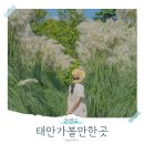 모자백반 | 태안 안면도 맛집 가볼만한곳 간장게장 일송꽃게장백반 본점 후기