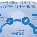 이엔셀 - 공모주 분석 (주요 사업 분석)