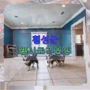 횡성축협동물병원 | 횡성군 웰시코기분양 똑똑하게 선택하는 우리 집 새 가족 맞이법