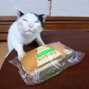 의류쇼핑 - 남원시 용성로 116 | 의류쇼핑