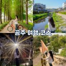 도깨비농촌체험휴양마을 | 충남 공주 여행 코스 비단가람 뚜벅이 1박2일 대전 근교 가볼만한곳