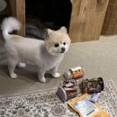 원미구 도약로 239 이미지