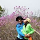 남대전고등학교 이미지