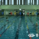 보령국민체육센터 수영장 이미지