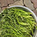 3월 26일(수) 전북지부 출석부 이미지