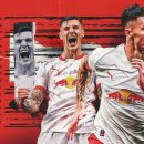 붉은황소 이미지