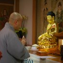 경북대학병원 이미지