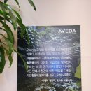 신원동마사지 호텔식 바디케어 카카오풋앤바디 삼송점 다녀온 후기