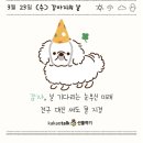 강아지톡 이미지