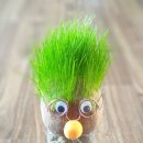 플래닛성형외과의원 이미지