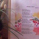 그곳에 가면 행복 두 배 이미지