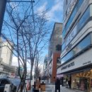 작전 현대1차아파트 | 송파구재건축 가락동재건축 문정동가락현대1차아파트 임장 후기