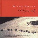 여행하는 나무 이미지