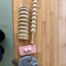 바른체육관 | 광주남구다목적체육관 바른자세운동 SNPE 한달 후기