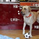 마루네일 이미지