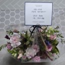 튼튼한정형외과의원 이미지