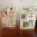 짐포레스트 | 귀여운 원숭이들이 여기저기! 우붓 몽키포레스트 방문 후기 | 입장료, 스캐쥴, 짐보관 등