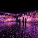 디자인코리아뮤지엄 이미지