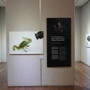 청산아트홀 이미지