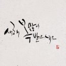 미라이안경 네이버블로그