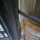 멍청이공업사 이미지