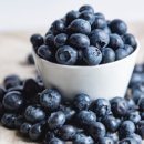 블루베리 이미지