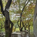 오퐁드부아 스테이 | 대구 근교 가창 감성 대형카페 오퐁드부아 다녀온 후기