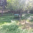 서당골약수터 이미지