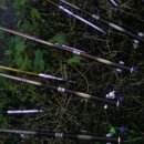 새마산목욕탕 이미지