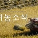 웅양곰볕지역아동센터 이미지