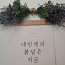 인트로아 이미지