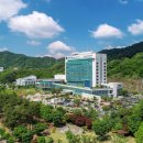 보행자우선도로(성주읍행정복지센터) | “교통 체증 해소에 본격 시동!”… 원주시, 치악로·월운정교 일대 도로 대개선 착수