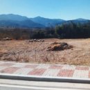 온천지공인중개사사무소 이미지