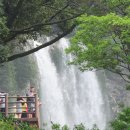 강정동-77 이미지