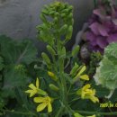 양지어린이집 이미지