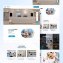 더하기센터 갤러리 | 동물병원 홈페이지 제작, 따뜻함과 전문성이 어우러진 브랜딩 홈페이지