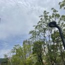 한솥도시락 양산신도시점 이미지