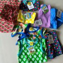 클로버동물병원 | 던스 스웨덴 모어댄어플링 클로버 순무 스마포크 아기 착샷