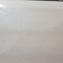 워시코트 디테일링 이미지