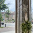 광명북중학교 앞 이미지