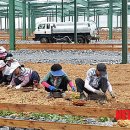 이식태양광발전소 뉴시스