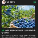 양남식농장 | 경주 감포 애견동반 카페 추천 양남 텀즈본점